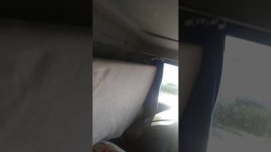 спальная полка своими руками в дневную кабину