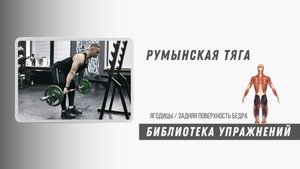 Румынская тяга штанги. Техника выполнения. Упражнение на заднюю поверхность бедра и ягодицы.