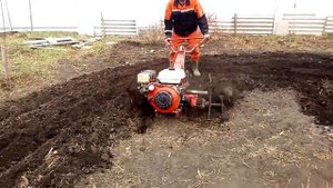 Агрос на гусиных лапках