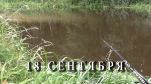 Рыбалка на реке Нерская на поплавок и фидер (пикер) 18 сентября 2016 года