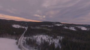 Дайна Казак (СНЕГ)