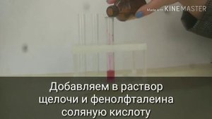 взаимодействие кислот и щелочей