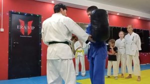 Круговой удар ногой в падении. Освоение.