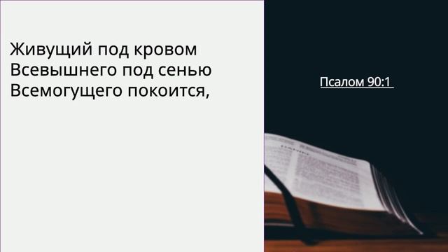 Проповедь (8 мая) | Каминский М. Ф. смотреть онлайн