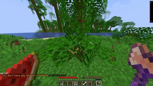 WHY THIS SMP IS SIMPLE смотреть онлайн