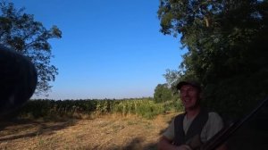 Охота на перепела!!! Охота на голубя !!!!2023