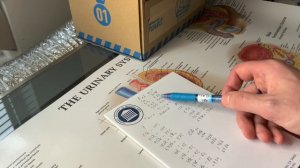 Налоги в США 🇺🇸 насколько они страшны 😱🙌😎