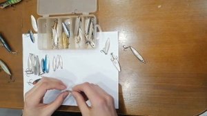 Коробка приманок для ловли жереха. Обзор.