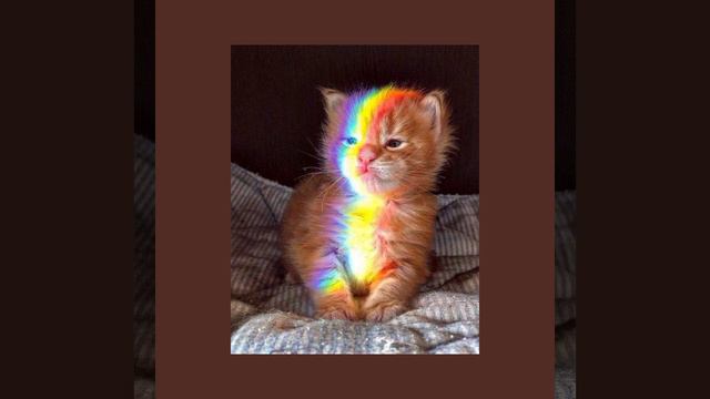 Zhanulka-Кис Кис •speed up• смотреть онлайн