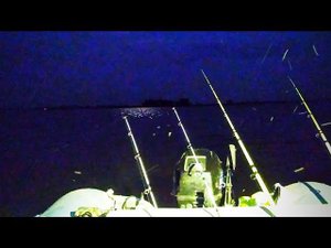 ОНИ НАС ЧУТЬ НЕ СЪЕЛИ! ШАКАЛЫ ВОЮТ! РЫБАЛКА НА СОМА И САЗАНА