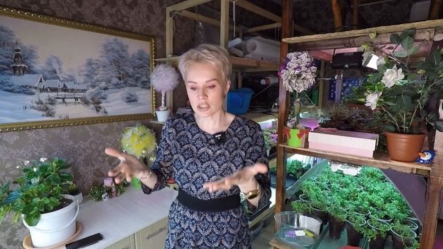 КАЛИБРАХОА.ПРОБУЮ ЧЕРЕНКОВАТЬ КАЛИБРАХОА ЗИМОЙ.2021