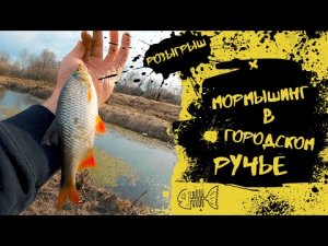Мормышинг в городском ручье I Розыгрыш