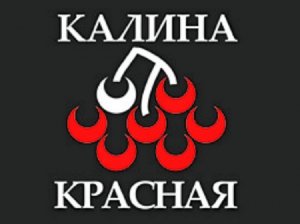 клип ИК-18 на конкурс Калина Красная.mp4