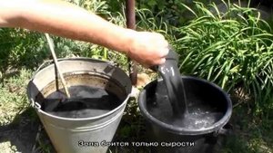 Как подкормить огурцы золой в открытом грунте и теплице, и что это даст будущему урожаю