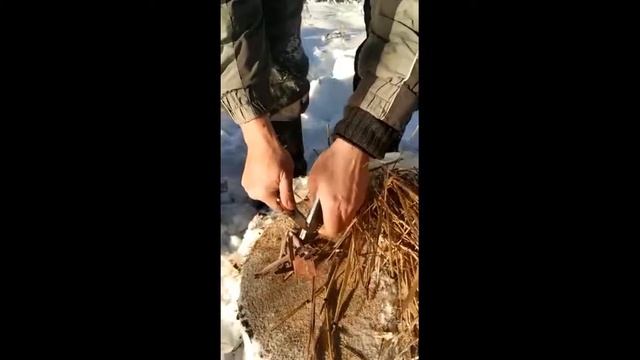 Разведение костра в зимнем лесу смотреть онлайн