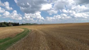 Пшеничное Поле Звуки Природы Лето Шум Колосьев
