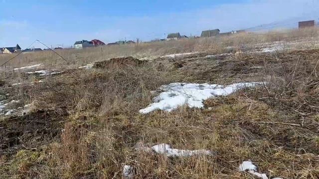 Ловля певчих птиц 2023. Полевые жаворонки на пролете. смотреть онлайн