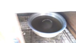 ДАВАТЬ ИЛИ НЕ ДАВАТЬ НУТРИЯМ ВОДУ. Моё мнение.