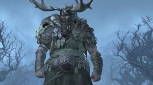 Diablo 4 — Что важно знать/Геймплей, Руны, ММО, Дерево навыков