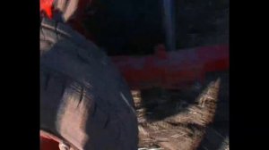 Обзор сеялки Элворти 4м и посев рапса МТЗ 892