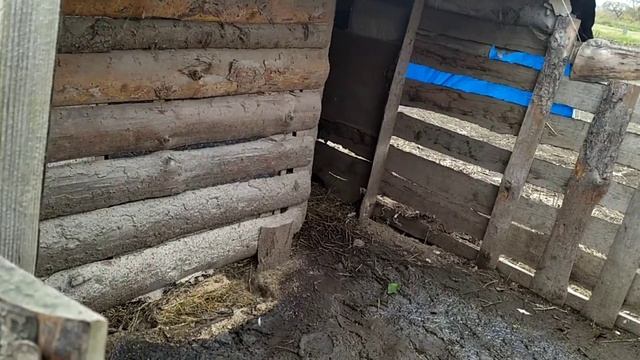 не большой обзор хозяйства и участка смотреть онлайн