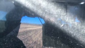 NOVA 340, жатка НАШ 873-25. Уборка подсолнечника Pioneer Pl-109.