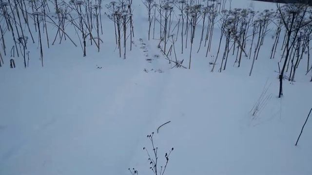 мототолкач 9 л.с. проехал через овраг смотреть онлайн