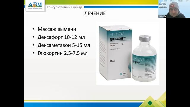 Причины возникновения и методы борьбы с отеком вымени