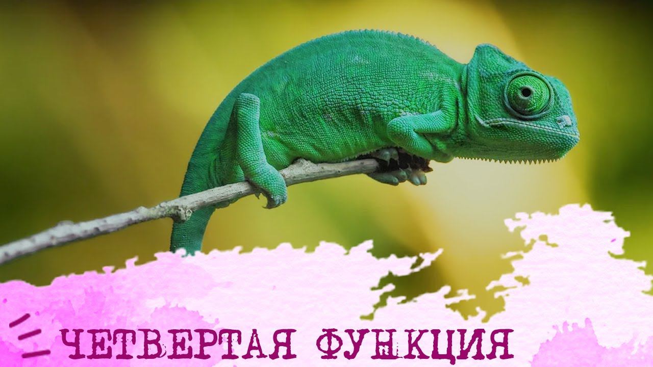 ЧЕТВЕРТАЯ ФУНКЦИЯ