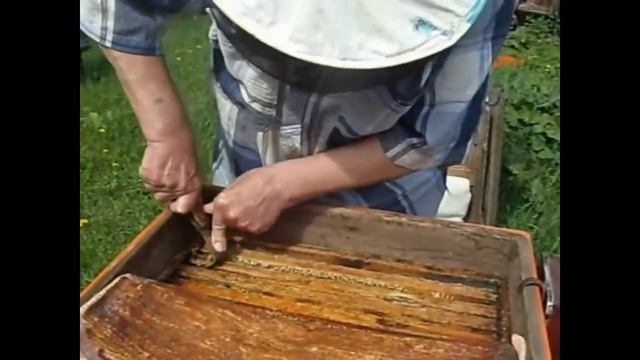 Прополис смотреть онлайн