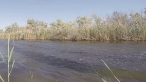 Jet Ski for fishing.Гидроцикл для рыбалки.