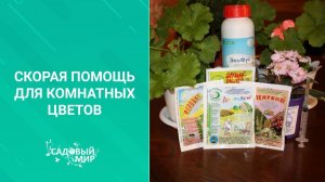 Скорая помощь для комнатных цветов