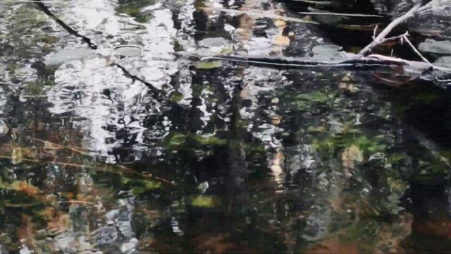 VID 20220904 190050 Плыть, плыть...(Н. Рубцов)...Павел Васильев Лахтинский смотреть онлайн