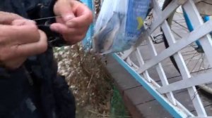 Рыбалка в Анапе в ноябре видео 19 ноября 2018