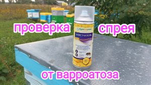 Борьба с клещём варроа у пчёл, без химии! Пчеловодство!