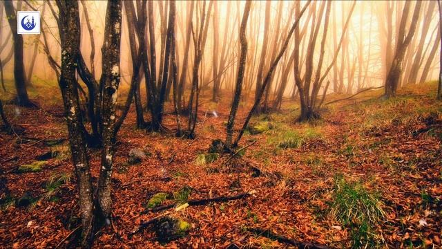 Рукъя от страха и тревоги. Рукъя для детей