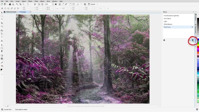 Learn How to Make Quick Photo Edits with the Adjustments Docker in Corel PHOTO-PAINT | Windows смотреть онлайн