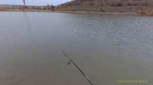 Мормо дроп-шот, рыба бастует.