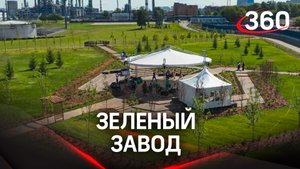Эксклюзивные кадры: новый парк на территории Московского НПЗ