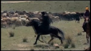 Великие открытия Николая Михайловича Пржевальского