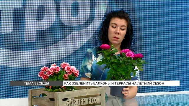 Озеленяем балкон: советы ландшафтного дизайнера смотреть онлайн