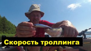 Скорость троллинга