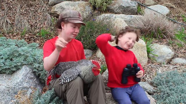 Family Finger (Daddy Finger) Angry Birds Style with Red, Chuck, Bomb, the Blues, and Pig! смотреть онлайн