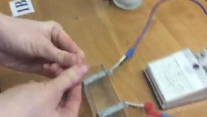 Опыт Гальвани с лягушкой