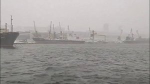 Во Владивосток пришла зима, и вот такие видео начинают приходить с Дальнего Востока.