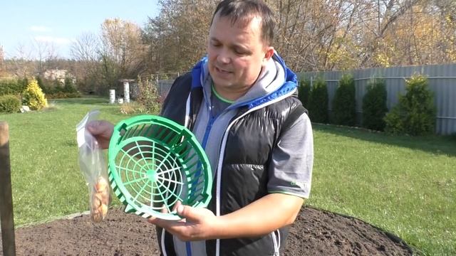 Осенняя посадка тюльпанов. Голландская технология.