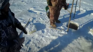 Зимняя рыбалка на сига 23.01.2021