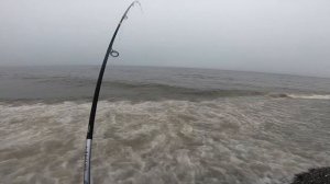 Морская рыбалка на Камчатке западное побережье навага