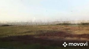 Западно-Сибирская равнина.