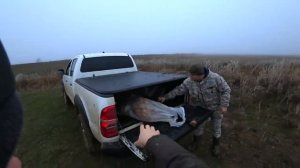 охота на волков.вышло 8 ВОЛКОВ! wolf hunting.wolfsjagd